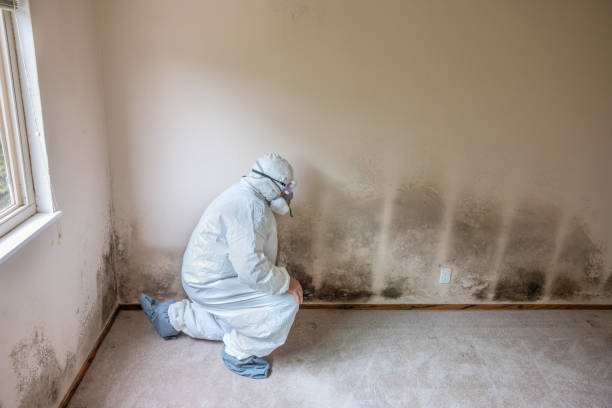 Best Mold Removal for HVAC Installations  in Mclouth, KS